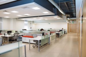 Kantoorpand inrichten met ergonomische meubels, planten en natuurlijk licht voor gezonde werkplekken